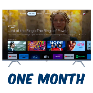 ONE MONTH
